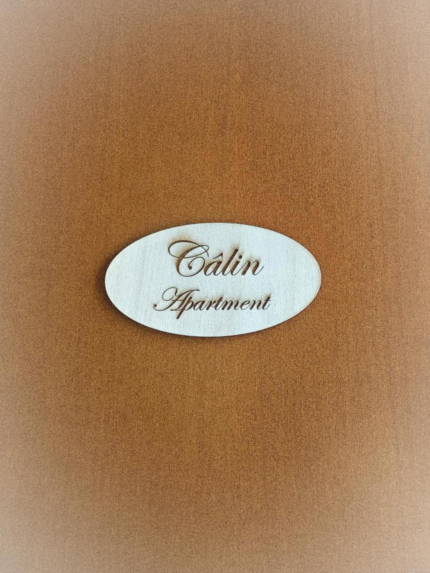 טורינו Calin Apartment מראה חיצוני תמונה